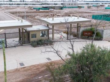 Terreno , Luján de Cuyo · B° Abedul Se Vende Lote 500 m² | Luján de Cuyo | Todos Los Servicios