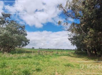 Campo · 340000ha · Campo de 34 Has con Gran Potencial de Desarrollo Sobre Ruta 41 – General Belgrano