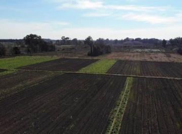LGP-LGP-587_2 · Venta Campo Pilar