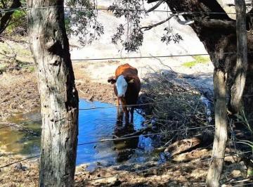 Foto · Se Vende Campo en La Cumbre Zon Rio Pinto Escritura