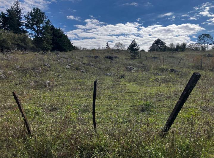 Terreno · 2900m²