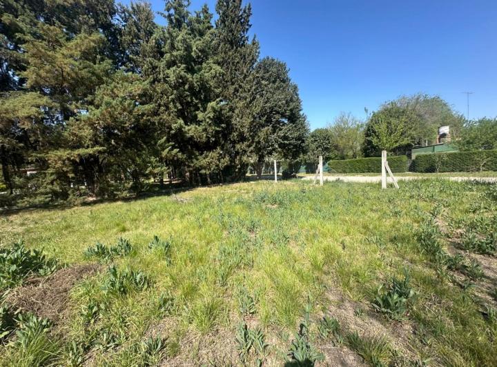 Terreno · 910m²