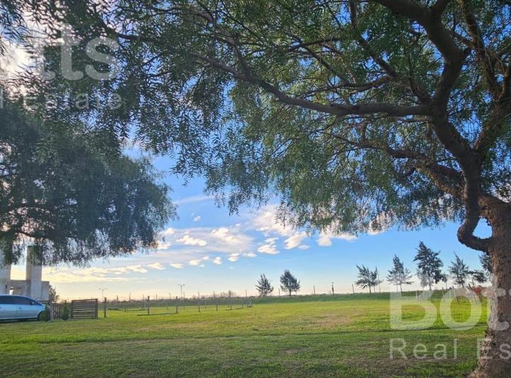 Terreno · 802m²