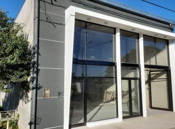 Bodega-Galpón · 300m² · Alquiler de Galpón Sobre Lisandro de La Torre