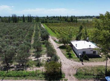 Campo , Junín · Vende Finca de 17 Hectáreas 8.657 m² – D° a Riego y Pozos - Junin