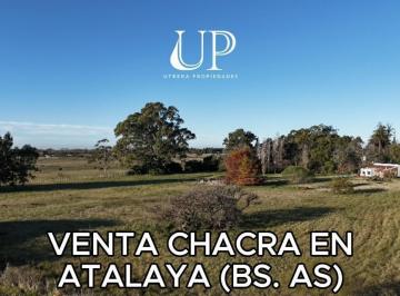 Campo · 30000ha · 3 Ambientes · Chacra en Atalaya
