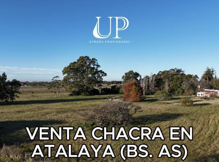 Campo · 30000ha · 3 Ambientes