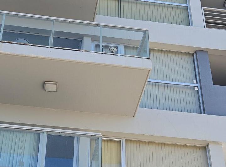 Departamento · 43m² · 2 Ambientes · 1 Cochera