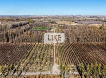 Campo · 280m² · Chacra Zona Cinco Esquinas Cipolletti