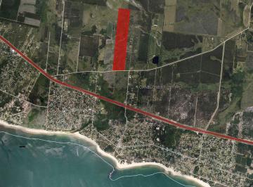 Campo · 23ha · Campo de 23,2 Hás con Frente a Ruta 103 Araminda