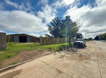 Bodega-Galpón · 541m² · Alquiler Comercial Amplio Galpón en Tandil