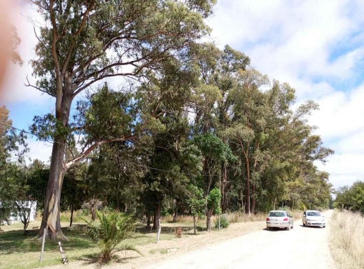 Terreno · 3000m²