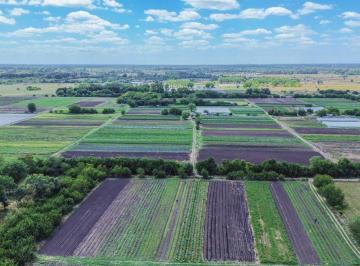 Campo · 39ha · Venta Fraccion 39 Ha Zonificacion Cr1 Pilar