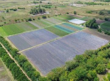Campo · 9ha · Venta Fraccion 9 Ha Zonificacion Cr1 Pilar