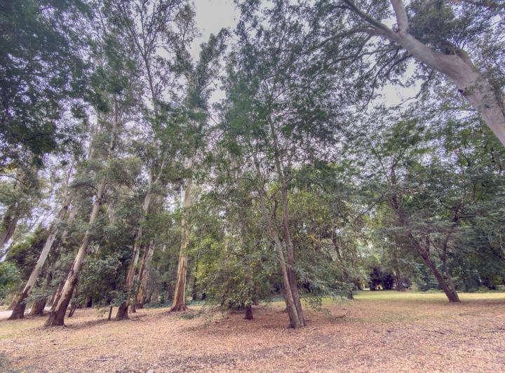 Terreno · 4800m²