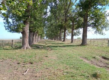 Campo  Venta USD 1.298.006 · Importamte Campo de 302 Ha en Cascomus