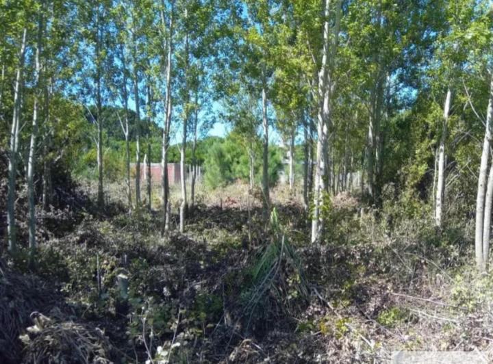 Terreno · 500m²