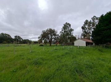 Terreno , Mar del Plata · Barrio Santa Isabel (Frente a Los Hoteles de Chapadmalal) Vendo Lote de 1000 m².
