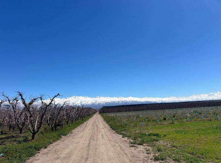 Campo · 32ha
