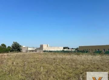 Terreno · 500m² · Terreno en Venta - 500 m² - Necochea