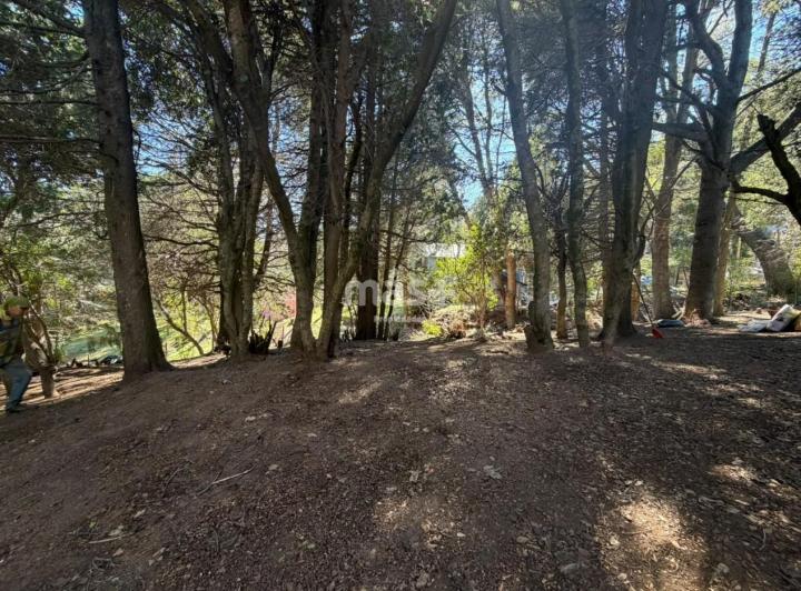 Terreno · 2733m²
