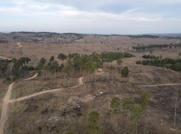 Terreno · 5000m² · Terreno en Venta Villa Yacanto Calamuchita