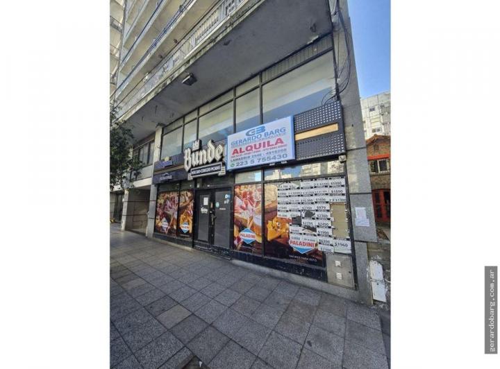 Local comercial · 245m² · 2 Cocheras