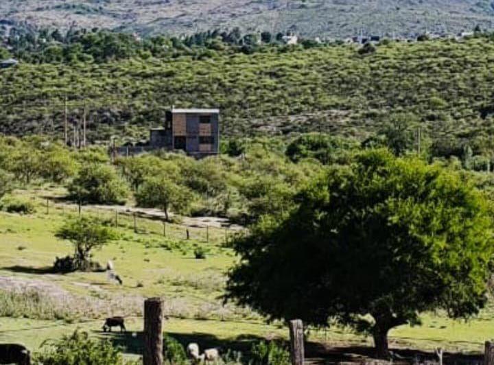 Terreno
