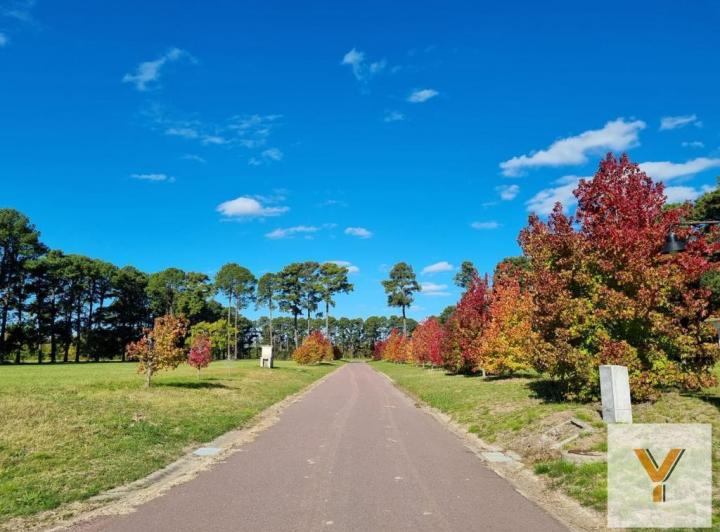 Terreno · 1600m²