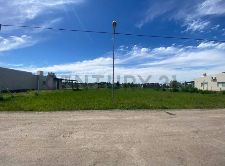 Terreno · 299m²