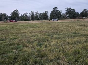 Terreno , Exaltación de la Cruz · En Venta Excelente Lote en Pinares Cc