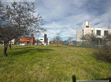 Terreno · 730m² · Terreno en Venta Villa Catalina