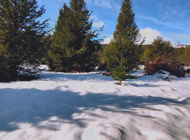 Terreno · 984m²