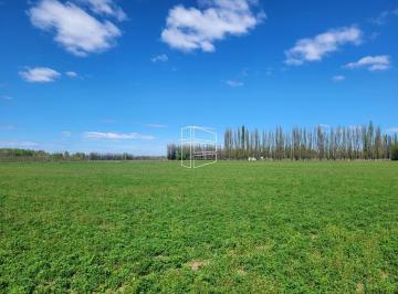 Campo · 298600ha · Venta - Chacra de 30 Hectáreas en Vista Alegre - R046