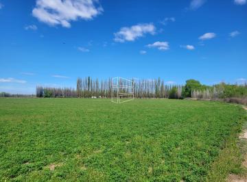 Campo · 200000ha · Chacra en Mainque