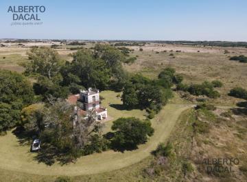 Campo · 22ha · 14 Ambientes · Campo - Atalaya