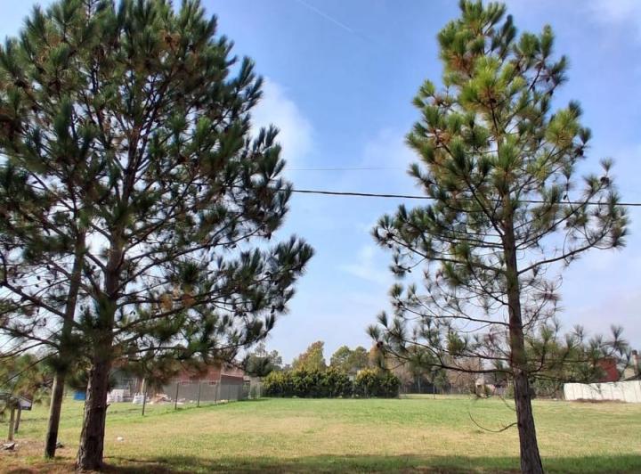 Terreno · 1120m²