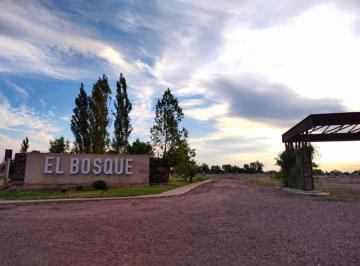 Terreno , Rodeo del Medio · Ofrece a La Venta Lote en Barrio El Bosque II – Rodeo del Medio.