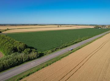 Campo · 13ha · Campo Agricola en Venta en Alvarez