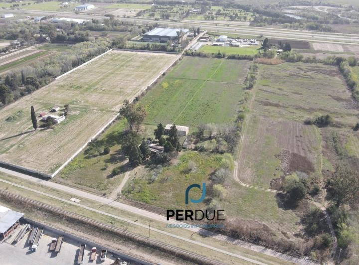 Terreno · 50000m²
