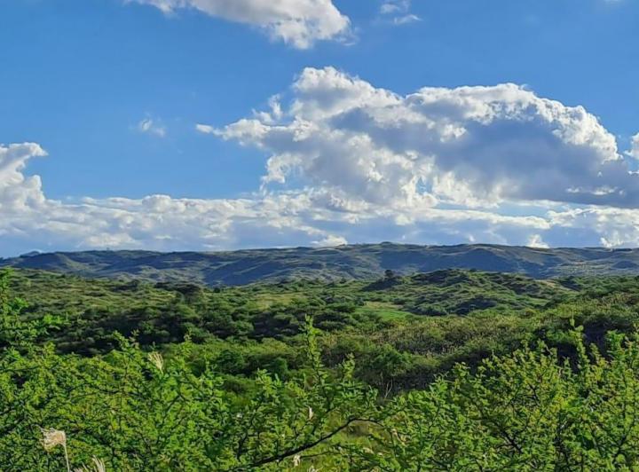 Terreno · 83000m²