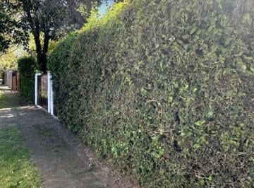 Casa de 5 ambientes, San Isidro · Casa en Una Planta Muy Bien Ubicada con Piscina y Jardin