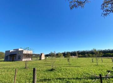Terreno · 10000m² · Terreno en Venta en Baradero Colonia Suiza