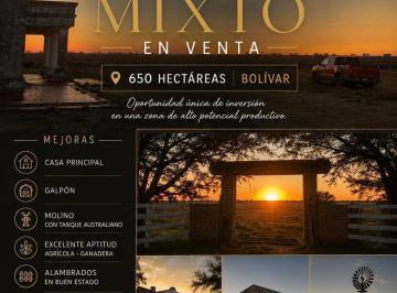 Terreno · 642ha · Campo en Venta en San Carlos Bolivar