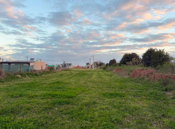 Terreno en venta en Las Fincas