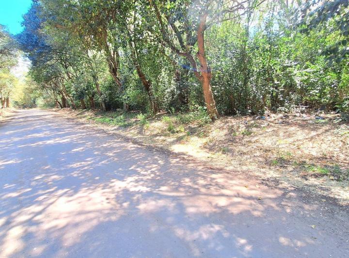 Terreno · 15542m²