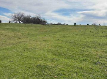 Campo · 53ha · Campo en Venta 52 Ha Fighiera
