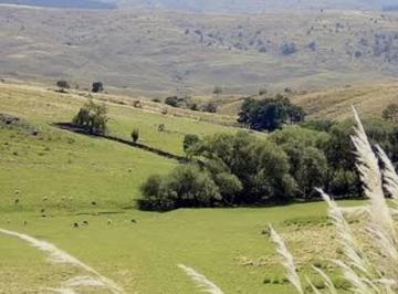 Terreno · 600m² · Venta Lote Yacanto Calamuchita Cordoba 600 m²
