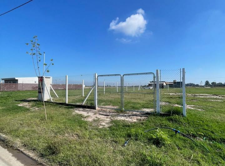 Terreno · 250m²