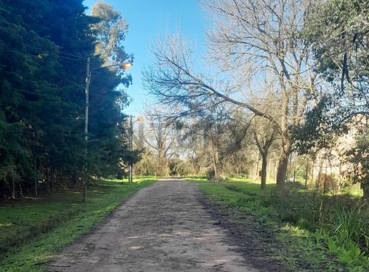 Terreno · 4033m²